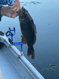 Great Fishing!
