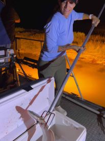 Great Trip In Low Visibilty Conditions