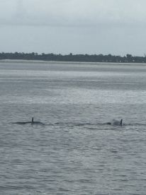 Trip to shell island Caption Chris 