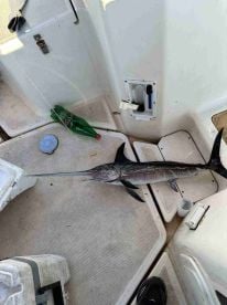 A wonderful fishing adventure