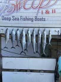 give him a call. you wont be dissapointed