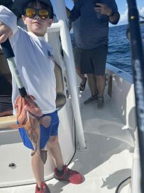 Great Trip for kids