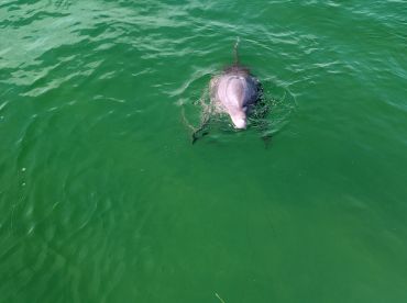 Fun morning on the water