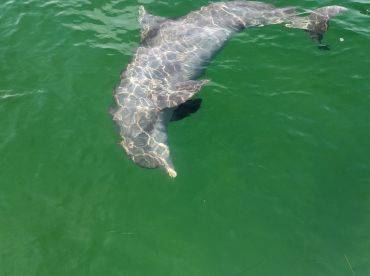 Fun morning on the water