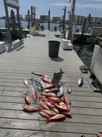 ⭐️⭐️⭐️⭐️⭐️ Fantastic Fishing Trip with The Great Escape!