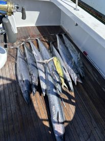 Awesome fishing trip