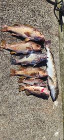 October fishing trip