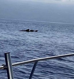 Good day on the water! 