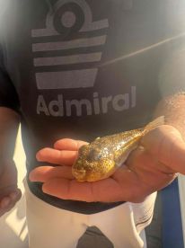 beautiful trip, great crew