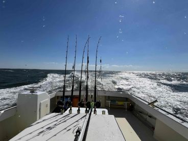 Top notch! Captain and Mate set the the standard