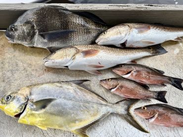 Amazing fishing in the Everglades