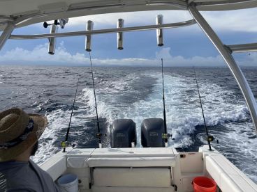 Great fishijg trip ! Caught a bunch of Mahi!