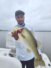 Today was a good day 