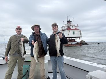 Captain Stuart and Shane weee great! B