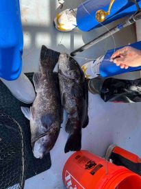 One of the best Tog experiences!