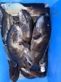 One of the best Tog experiences!