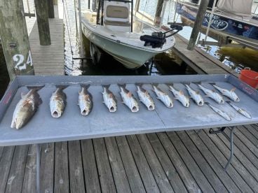 Captain Clinton knows his stuff !!