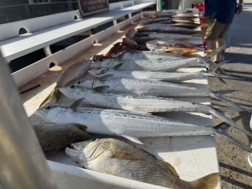 Key West, October 11, 2025