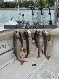 Fun day out on the water