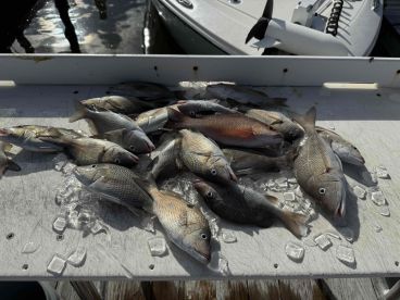 Great day on the water! 