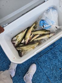 Casting away worries and reeling in memories!