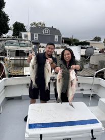 Excellent crew and plenty of fish caught!