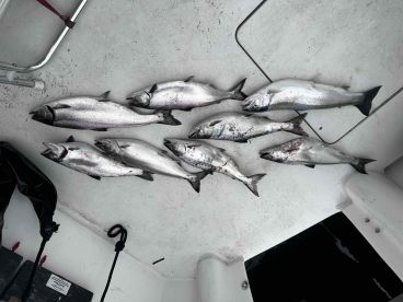 Outstanding Fishing with Captain Kris