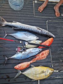 Nice Trip, a lot of Fish an fun