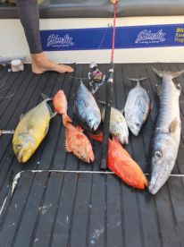 Nice Trip, a lot of Fish an fun