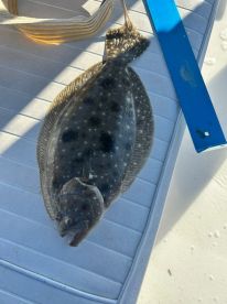 Family fish day