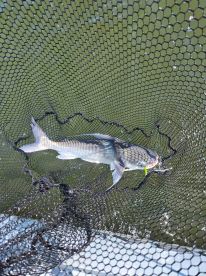 Fishing over all else