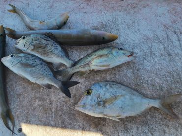 Best fishing trip