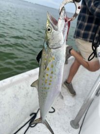 October fishing trip