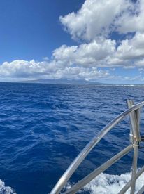 not a singular complaint possible!