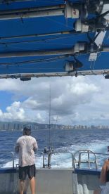 not a singular complaint possible!