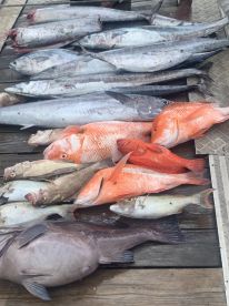 Amazing Fishing Trip!