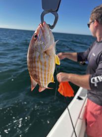Beautiful day on the water with Captain Kyle