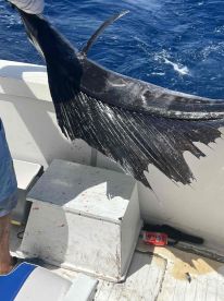 Awesome trip and experience!!