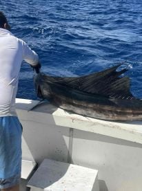 Awesome trip and experience!!