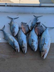 A great day of fishing