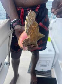 Deep sea\/Reef fising combo