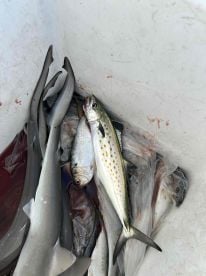 October fishing trip