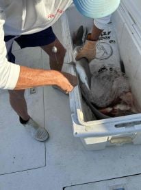 October fishing trip