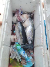 knew where fish woild be located