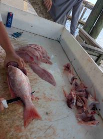 12 for 12, limited out in 2 hours!