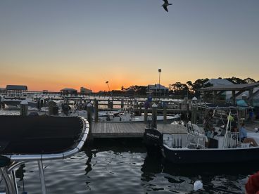 \u201cFish on\u201d \u201cshark on\u201d just chill!!!