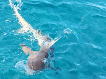 Great father and son fishing outing