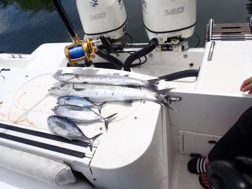 Great experience with tween son!