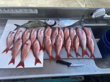 6 hr- offshore trolling w/ near