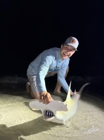 Best Shark Fishing In Tampa